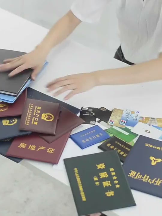 DocuSafe™ Travel Organizer – Waterproof Portable Document Storage Bag (Assorted Colors)